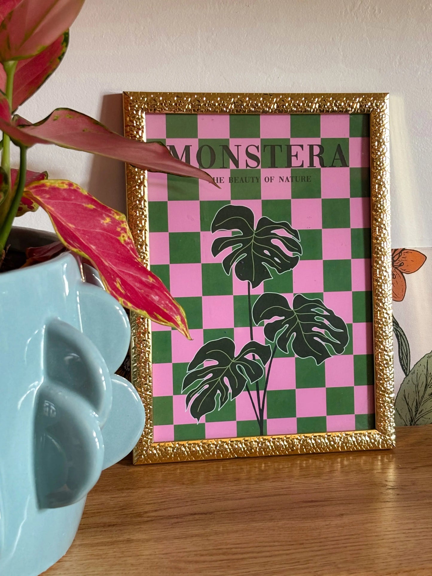 Monstera Emily in home