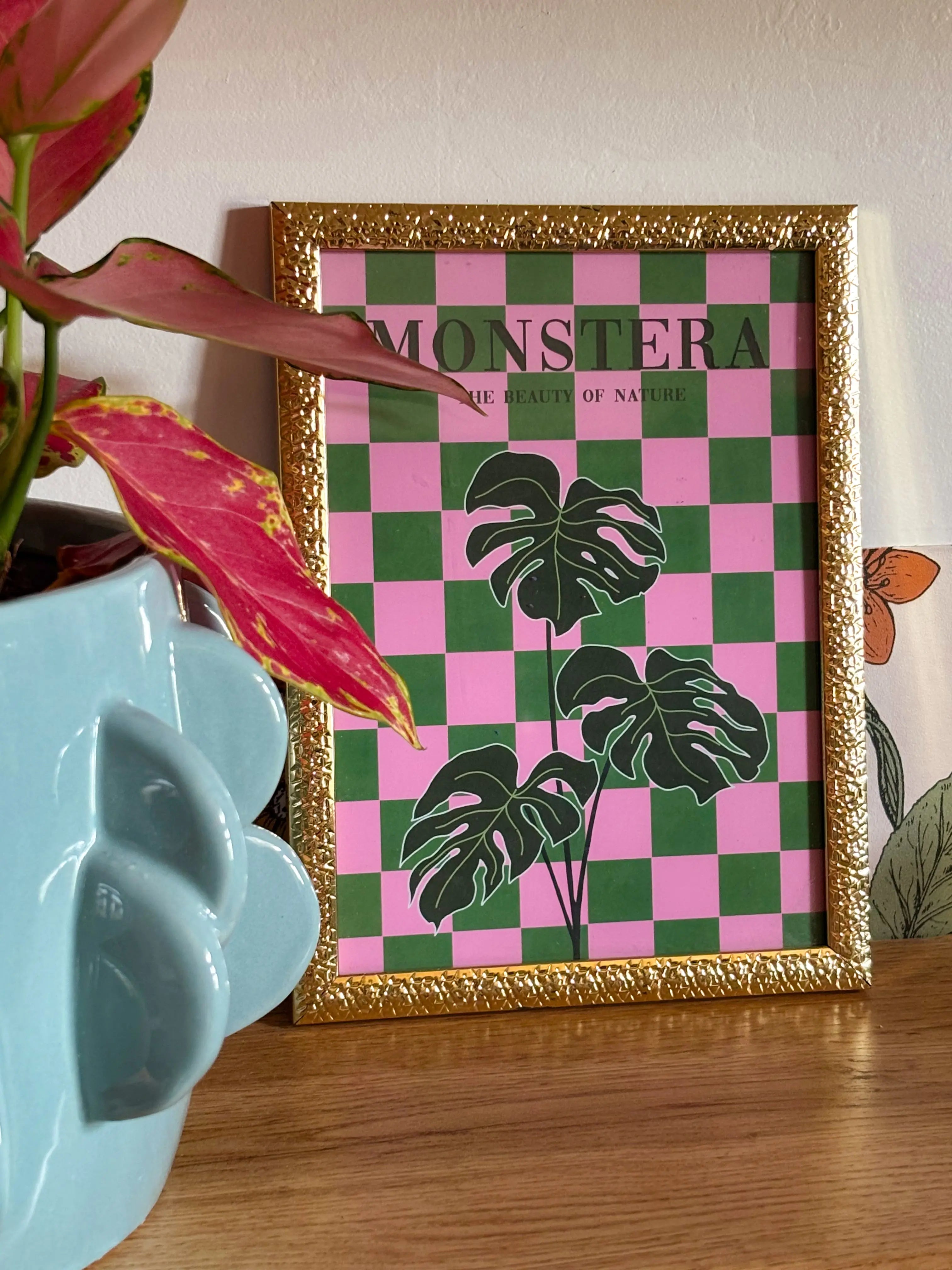 Monstera Emily in home